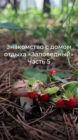экскурсия по дому отдыха, часть 5